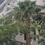 3 bedroom apartment for sale lykavitos nicosia 1815998 thumbnail 10893538