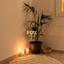 2 bedroom apartment for sale geroskipou paphos 7592009 thumbnail 11402143