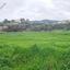 land for sale argaka paphos 1667009 thumbnail 4297403