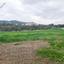land for sale argaka paphos 1667009 thumbnail 4297405