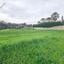 land for sale argaka paphos 1667009 thumbnail 4297406