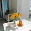 1 bedroom apartment for sale potamos germasogeias limassol 8571109 thumbnail 16561923