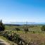 2 bedroom detached house for sale pano arodes paphos 7544109 thumbnail 14768224