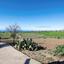 2 bedroom detached house for sale pano arodes paphos 7544109 thumbnail 14768227