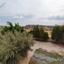 3 bedroom detached house for sale germasogeia limassol 8560109 thumbnail 15572668