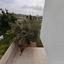 3 bedroom detached house for sale germasogeia limassol 8560109 thumbnail 15572672