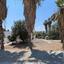 4 bedroom detached house for sale anarita paphos 8875109 thumbnail 17235222