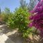 4 bedroom detached house for sale strovolos nicosia 8356109 thumbnail 14789403