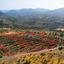 land for sale agia marina xyliatou nicosia 8255109 thumbnail 16301203