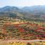 land for sale agia marina xyliatou nicosia 8255109 thumbnail 16301204