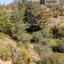 land for sale argaka paphos 1279109 thumbnail 15599405