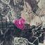 9365 SQM Land for sale in Agios Mamas, Limassol thumbnail 14116084