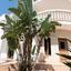 3 bedroom detached house for sale paralimni famagusta 7619309 thumbnail 12983362