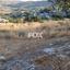 land for sale nata paphos 1357309 thumbnail 10035156
