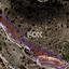 land for sale nata paphos 1357309 thumbnail 10035166