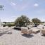 2 bedroom apartment for sale livadia larnacas larnaca 7452409 thumbnail 16131270