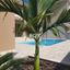 4 bedroom detached house for sale katholiki limassol 1850409 thumbnail 6685015