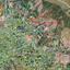 land for sale deryneia famagusta 7830409 thumbnail 10737494
