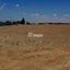 land for sale potamia nicosia 7489409 thumbnail 9302807