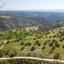 land for sale prastio avdimou limassol 967409 thumbnail 15603139