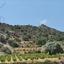 3679 SQM Land for sale in Agios Mamas, Limassol thumbnail 16029128