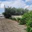 3 bedroom detached house for sale anafotida larnaca 1828509 thumbnail 16932306