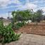 3 bedroom detached house for sale anafotida larnaca 1828509 thumbnail 16932309
