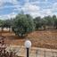3 bedroom detached house for sale anafotida larnaca 1828509 thumbnail 16932311