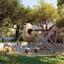 5 bedroom detached house for sale dekeleia larnaca 7966509 thumbnail 13538665