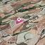 land under offer giolou paphos 1057509 thumbnail 13347350