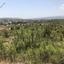 plot for sale kornos larnaca 1889509 thumbnail 7125960