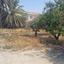 plot for sale oroklini larnaca 1902509 thumbnail 7285433