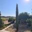 2 bedroom apartment for sale kato paphos paphos 8395609 thumbnail 16535431