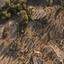 land for sale kampia nicosia 7703609 thumbnail 10008611