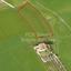 plot for sale strovolos nicosia 1239609 thumbnail 5121458