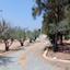 4 bedroom detached house for rent agios theodoros larnacas larnaca 1482709 thumbnail 16144398