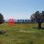 land for sale agios theodoros larnacas larnaca 1306709 thumbnail 6314775