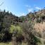 land for sale kato lefkara larnaca 8145709 thumbnail 13422350