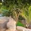 4 bedroom detached house for sale agia fyla limassol 1701909 thumbnail 12690017