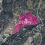 land for sale agios isidoros paphos 7812909 thumbnail 14876703