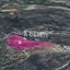 land for sale agios isidoros paphos 7812909 thumbnail 14876705