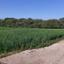 land for sale paralimni famagusta 8804909 thumbnail 16803947