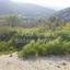 plot for sale kalavasos larnaca 1419909 thumbnail 12646897