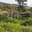 plot for sale kalavasos larnaca 1419909 thumbnail 12646908