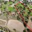 11706 SQM Land for sale in Peristerona Pafou, Paphos thumbnail 14210713