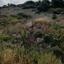 land for sale agios tychonas limassol 7792019 thumbnail 12561095