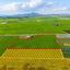 land for sale softades larnaca 8495019 thumbnail 15292240