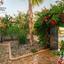 4 bedroom detached house for rent zygi larnaca 8870119 thumbnail 17216757