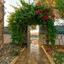 4 bedroom detached house for rent zygi larnaca 8870119 thumbnail 17216758