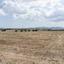 land for sale ergates nicosia 8225119 thumbnail 15930476